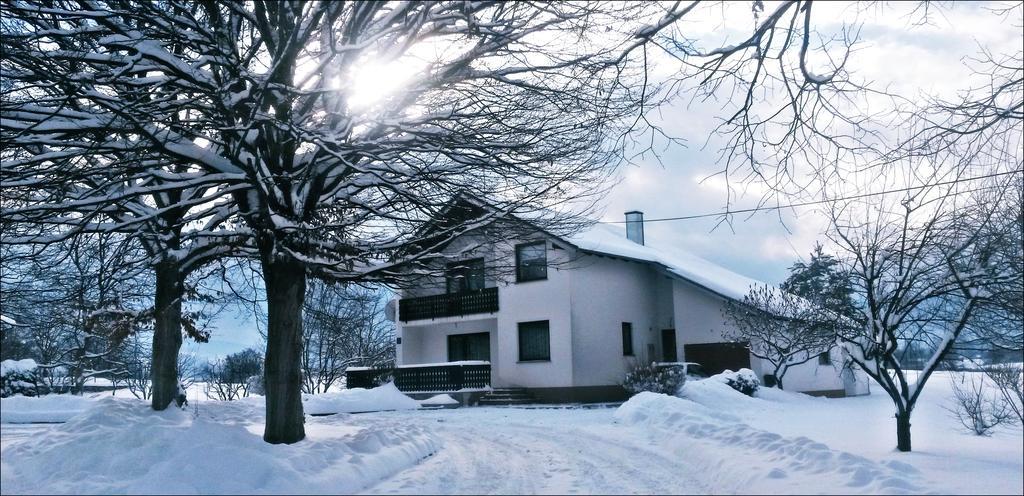Apartment Lipa Irinovac Pokoj fotografie