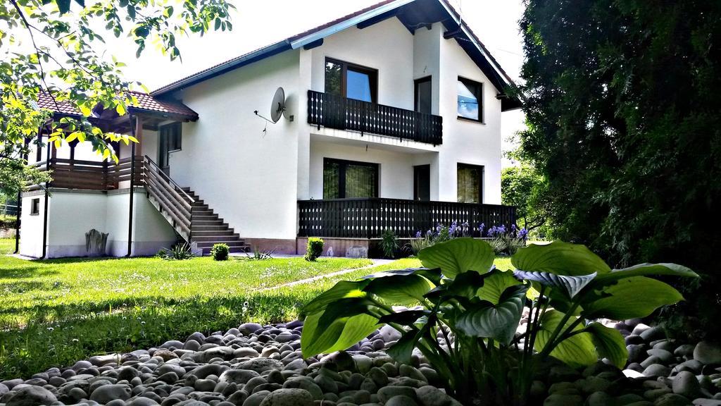 Apartment Lipa Irinovac Pokoj fotografie